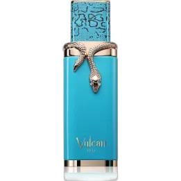 Vulcan Feu French Avenue Unisex 100ml | Rihanah