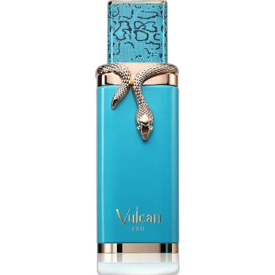 Vulcan Feu French Avenue Unisex 100ml | Rihanah