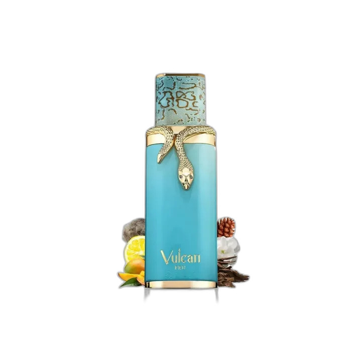 Vulcan Feu French Avenue Unisex 100ml | Rihanah