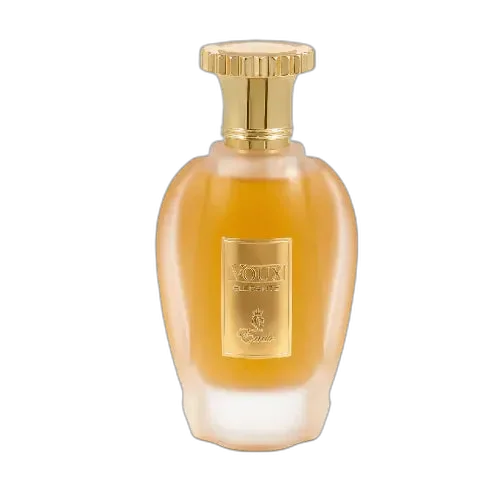 VOUX ELEGANTE Paris Corner UNISEX 100ml