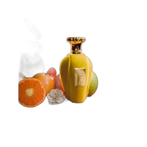 EMIR VOUX ZESTE Paris Corner Perfumes Mujer 100ml — imagen 2