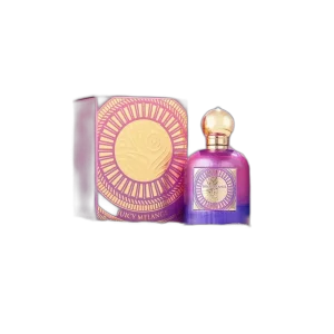 EMIR JUICY MELANGE Paris Corner Perfume Mujer 100ml — imagen 2